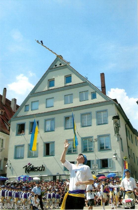2006 2006
